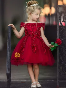 Cranberry Cuteness Floral Princess Special Occasion Dress